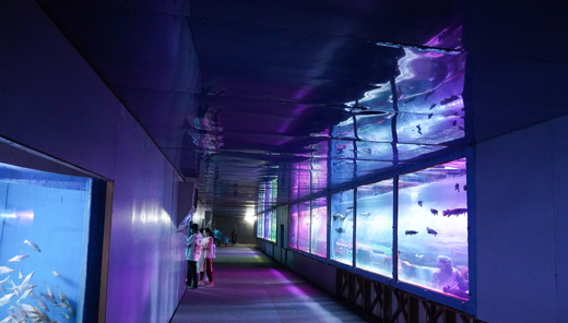 Main news Karavali Utsava